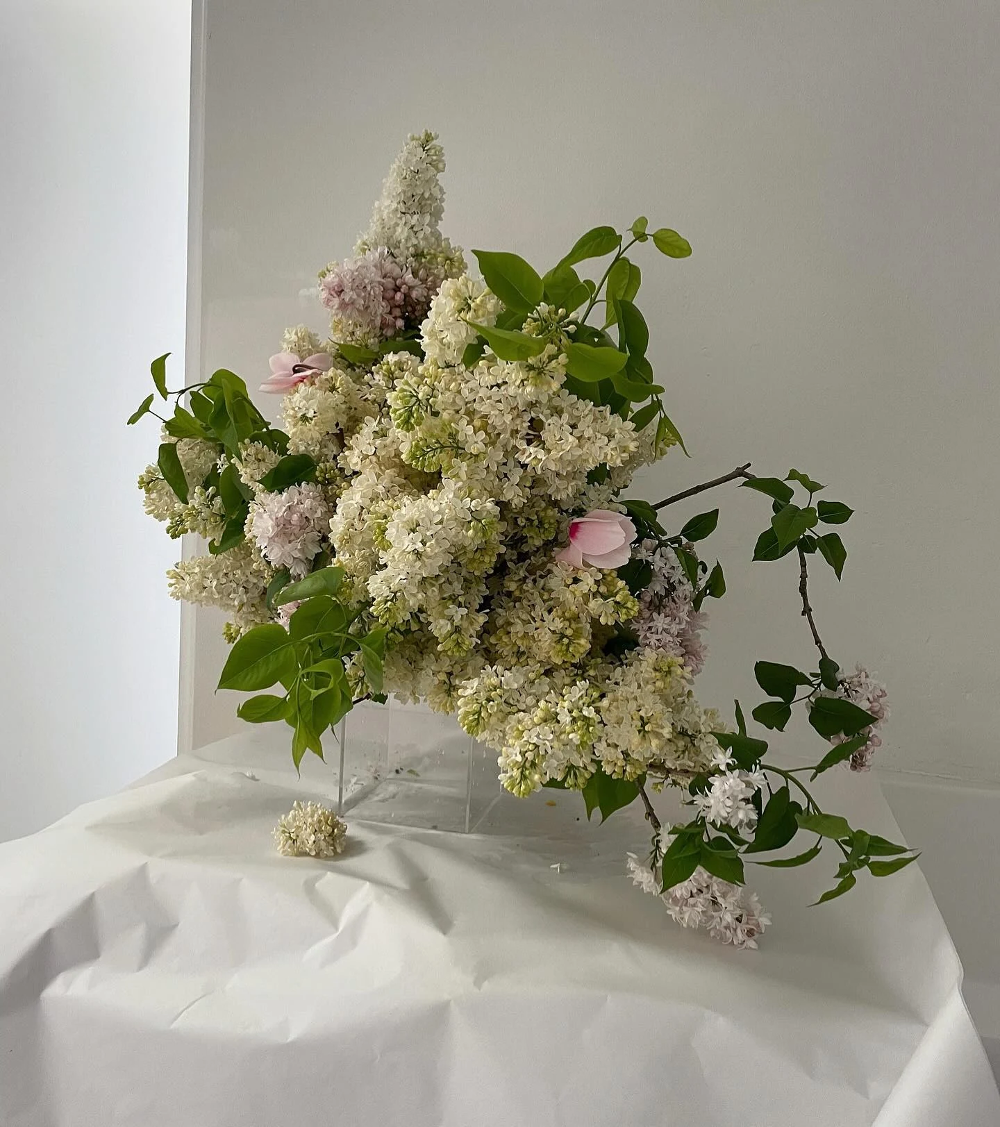 Fjura — sculptural floral arrangement