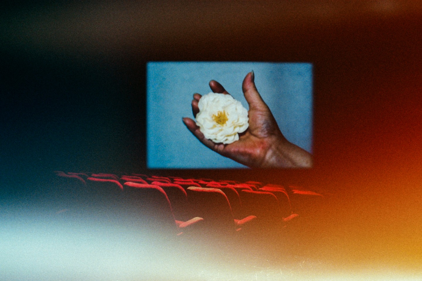 Atsushi Momoi — selected image 02